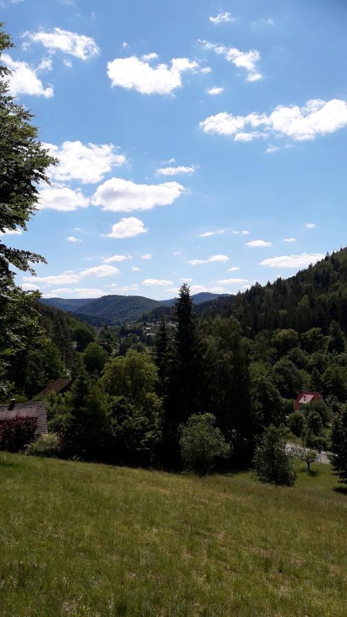 Ferienwohnung Am Wald Bad Herrenalb Eksteriør billede